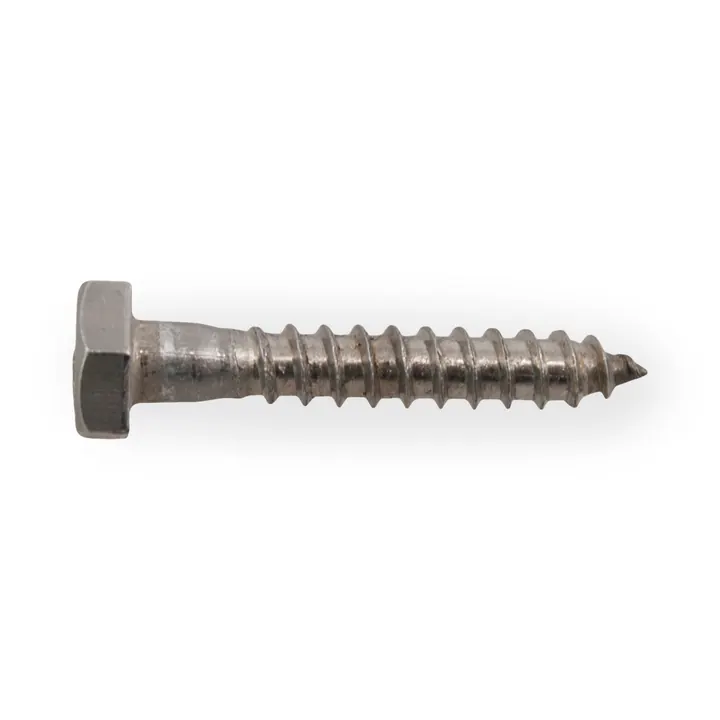 Stainless Steel Trailer Lag Screw Only 1/4 inch x 1 1/2 inch