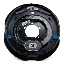 Dexter Electric Brake Assembly 12 inch for Right Side
