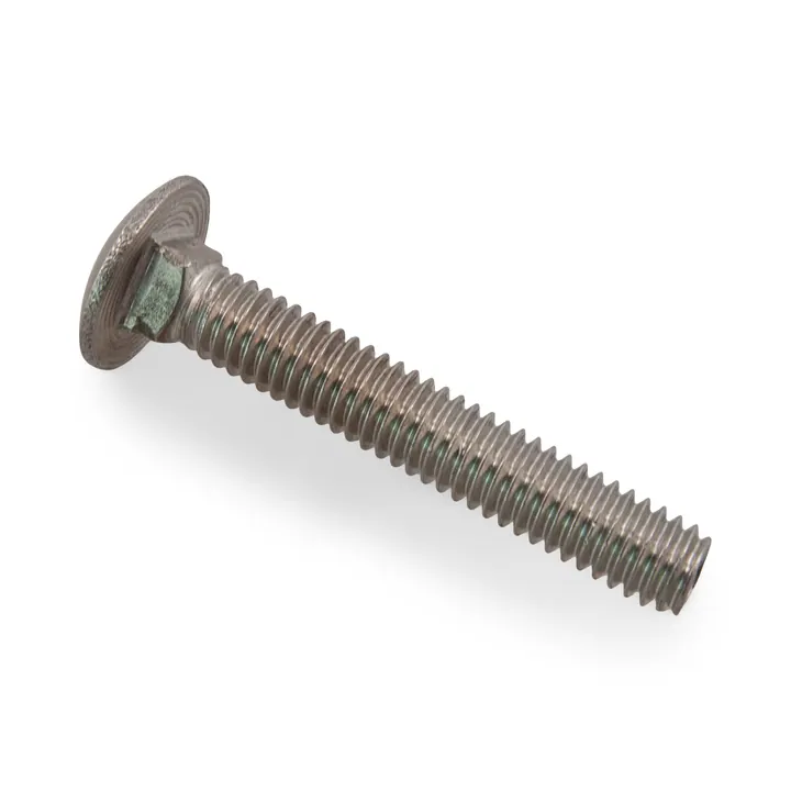Stainless Steel Trailer Carriage Bolt Only 5/16 inch x 2 inch